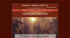 Desktop Screenshot of christinewallischdmdllc.com
